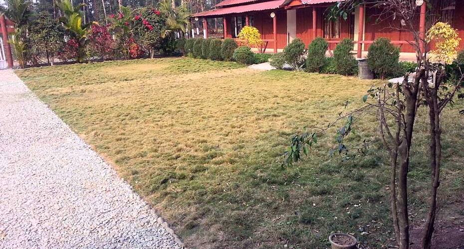 Gorumara Jungle Resort, Jalpaiguri 1
